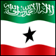 3D Somaliland Flag