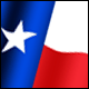 3D Texas Flag