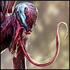 Carnage tongue