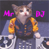 DJ Cat