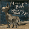 Donkey shaking that ass