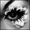 Flowerbud eye