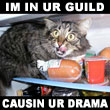 Guild lolcat