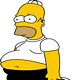 Homer Fat