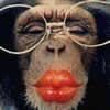 Monkey With Lippy