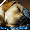 Sorry, I`m too tired