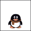 Viking Penguin
